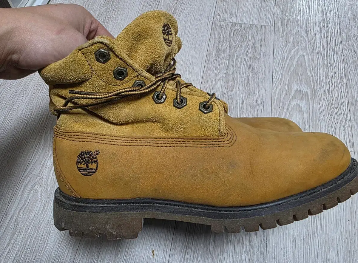 thumbnail-5